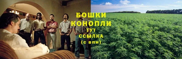 PSILOCYBIN Абдулино
