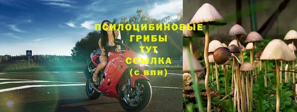 PSILOCYBIN Абдулино