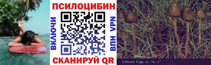 Галлюциногенные грибы Magic Shrooms  как найти закладки  Избербаш 
